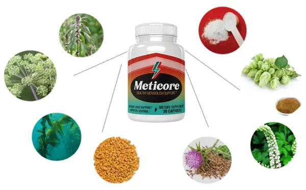 Meticore-ingredients